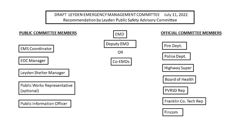 Org chart for Emergency Management Committee July 11 2022 draft